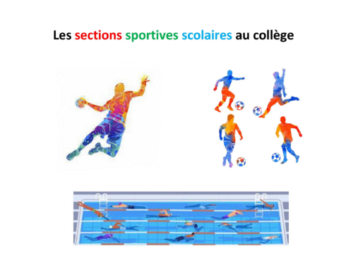 Les sections sportives scolaires au collège2.png